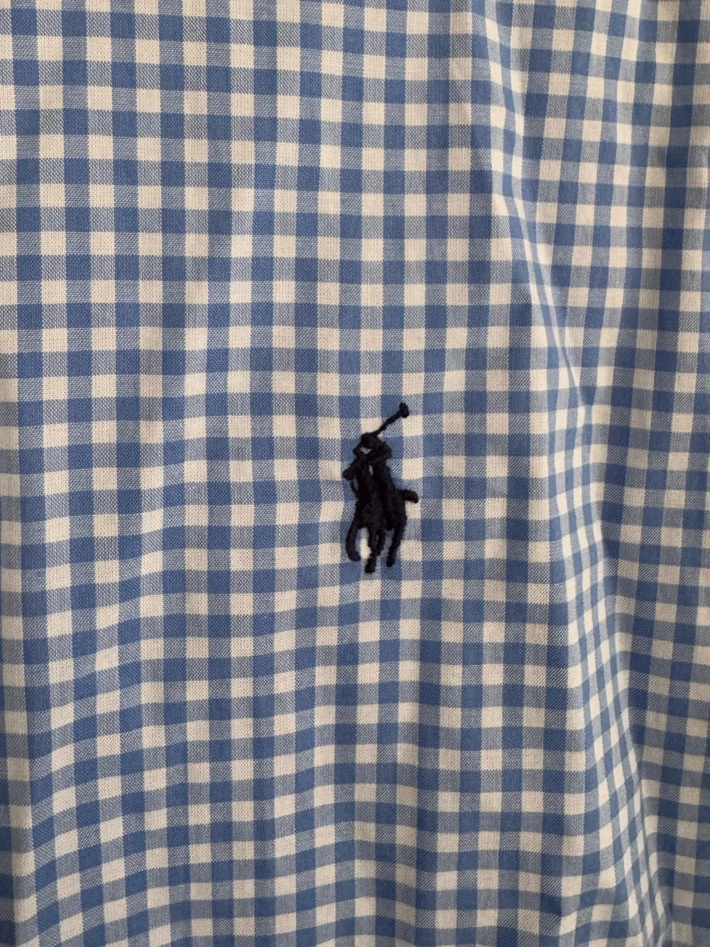 Ralph Lauren Light Blue & White Gingham Button-Down Shirt